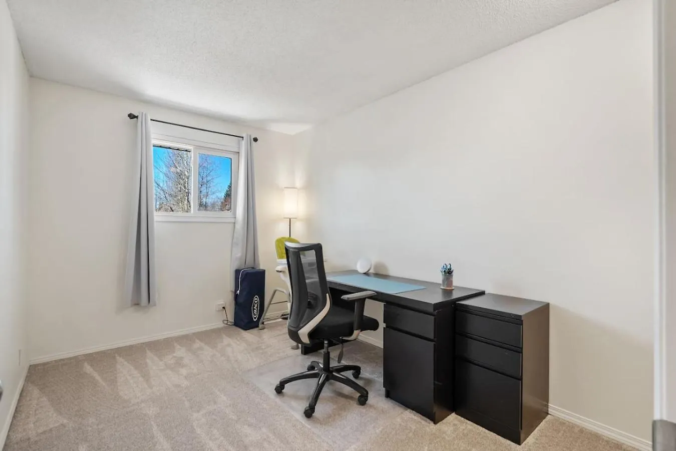 Cozy Modern Pet Friendly Homes Calgary